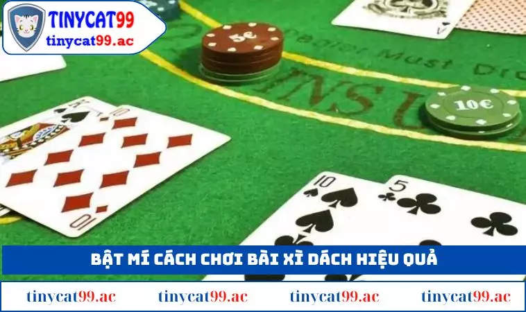 Bật mí một số kinh nghiệm để có cách chơi bài xì dách hiệu quả
