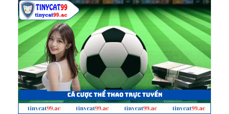 lựa chọn như bóng rổ, tennis, đua xe, cầu lông, quyền anh. Cá cược thể thao trực tuyến