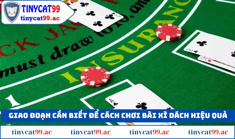 Các giai đoạn cần biết để có cách chơi bài xì dách hiệu quả