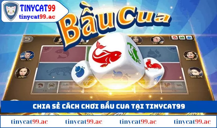 Chia sẻ về cách chơi bầu cua cho người mới tham gia