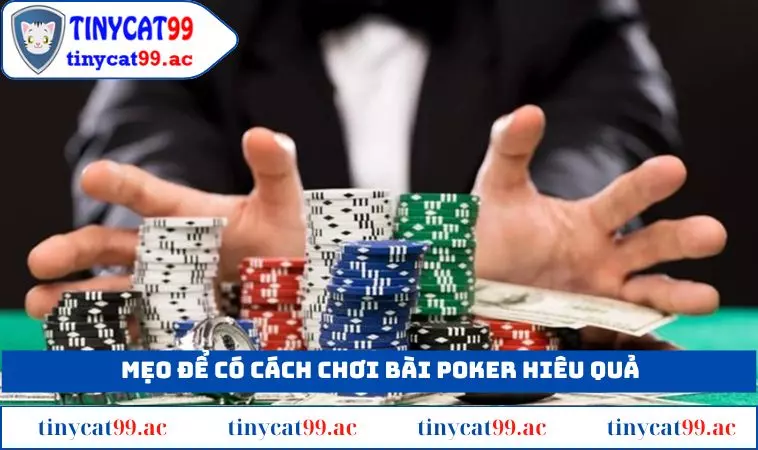 Mẹo để có cách chơi bài Poker hiệu quả tại TINYCAT99
