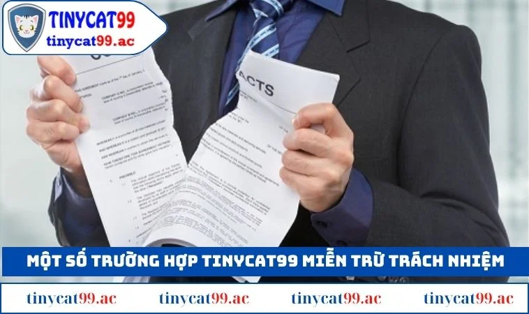 Một số trường hợp TINYCAT99 miễn trừ trách nhiệm