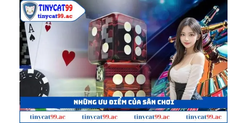 Những ưu điểm của sân chơi