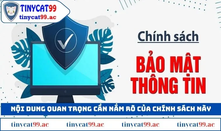 Nội dung quan trọng cần nắm rõ của chính sách này