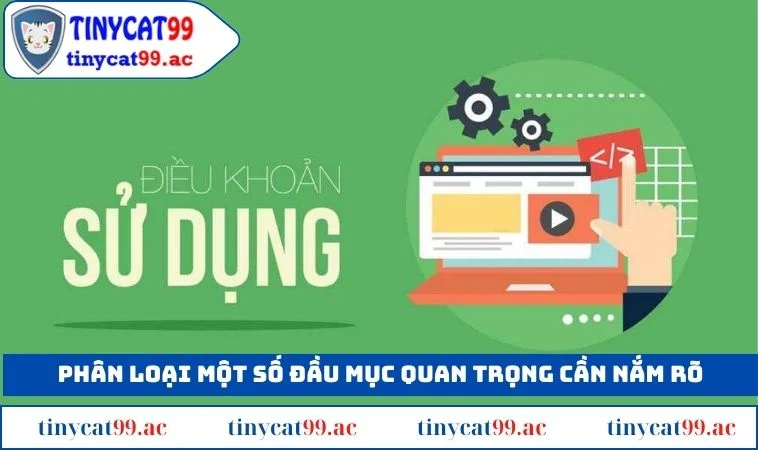 Phân loại một số đầu mục quan trọng cần nắm rõ