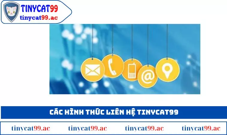 Các cách thức liên hệ TINYCAT99 được cung cấp