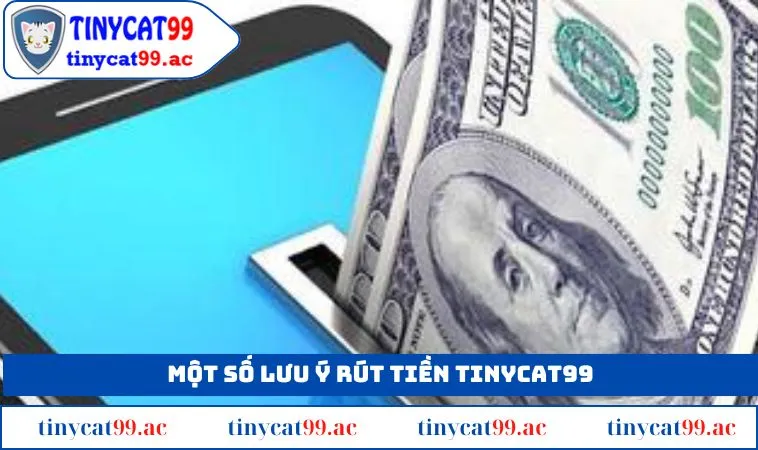 Một số lưu ý cho lệnh rút tiền TINYCAT99 trong năm 2025