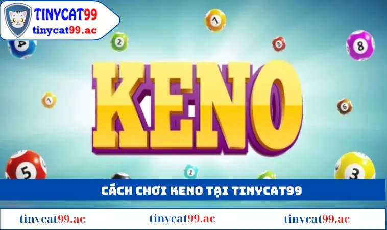 Cách chơi keno có những hình thức nổi bật nào?