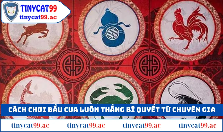 Cách chơi bầu cua luôn thắng bí quyết từ chuyên gia