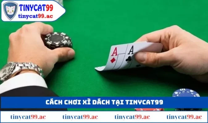 Cách Chơi Bài Xì Dách