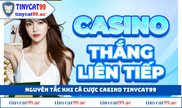 Nguyên tắc cá cược là gì?
