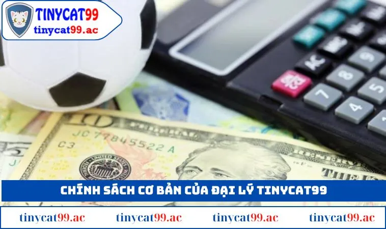 Các chinh sách cơ bản dành cho đại lý TINYCAT99 hiện nay