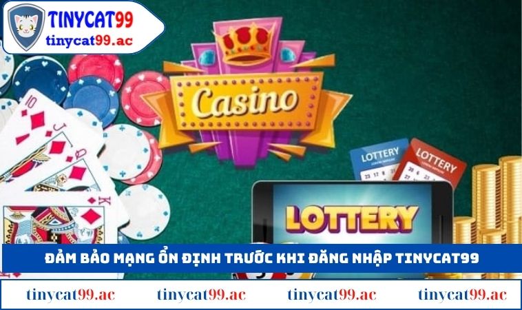 Đảm bảo mạng ổn định trước khi đăng nhập TINYCAT99