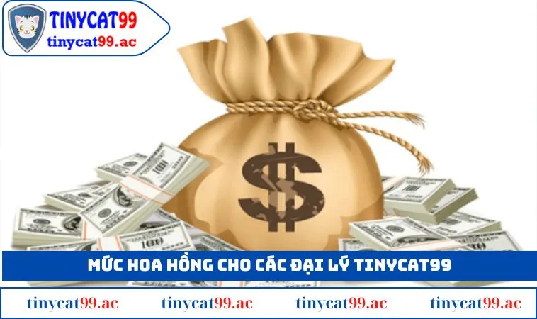 Mức hoa hồng hậu hĩnh cho đại lý nhà cái TINYCAT99