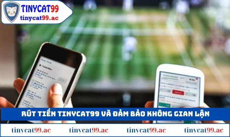 Tuyệt đối không có hành vi gian lận để rút tiền thành công