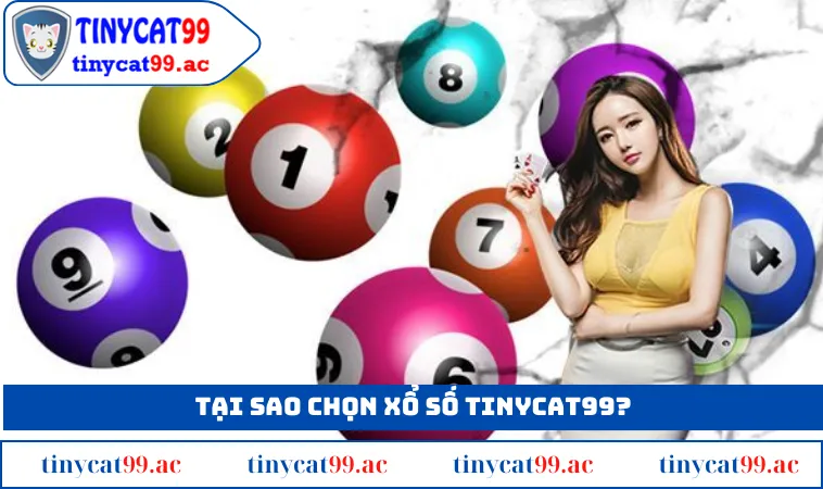 Tại sao chọn xổ số TINYCAT99?