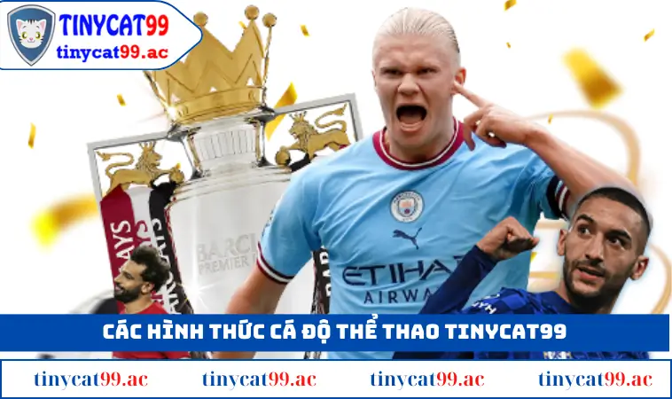 Các kèo cá độ có tỷ lệ ăn thưởng cao